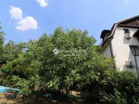 Eladó családi ház, II. kerületben 419 M Ft, 6 szobás