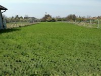 Eladó telek, Iváncsán 19.9 M Ft / költözzbe.hu