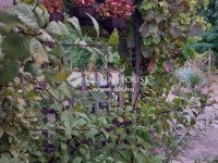 Eladó családi ház, Kecskeméten 74.9 M Ft, 4 szobás