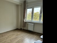 Kiadó téglalakás, albérlet, XIII. kerületben, Népfürdő utcában