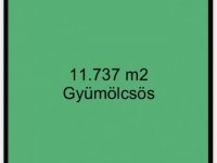 Eladó mezogazdasagi ingatlan, Ruzsán 1.5 M Ft