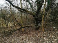 Eladó telek, Nagykapornakon 3.4 M Ft / költözzbe.hu