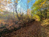 Eladó telek, Gyulakeszin 15 M Ft / költözzbe.hu