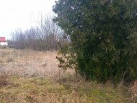 Eladó telek, Sárkeresztesen 16 M Ft / költözzbe.hu