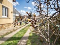 Eladó családi ház, XVIII. kerületben 95.9 M Ft, 3 szobás