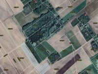 Eladó mezogazdasagi ingatlan