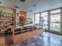Kiadó üzlethelyiség, Mosonmagyaróváron 250 E Ft / hó