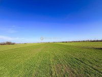 Eladó telek, Taksonyon 30 M Ft / költözzbe.hu