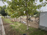 Eladó telek, Sződligeten 62.1 M Ft / költözzbe.hu