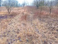 Eladó telek, Óbarokon 14.3 M Ft / költözzbe.hu