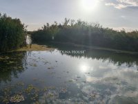 Eladó családi ház, Dunavarsányban, Duna soron 59 M Ft, 2 szobás