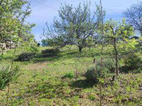 Eladó telek, Mogyoródon 19.9 M Ft / költözzbe.hu