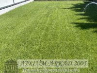 Eladó ikerház, Érden 148.9 M Ft, 4 szobás / költözzbe.hu