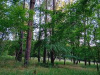 Eladó mezogazdasagi ingatlan