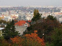 Eladó családi ház, XII. kerületben 1150 M Ft, 5 szobás