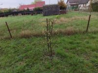 Eladó telek, Szegeden 24.5 M Ft / költözzbe.hu