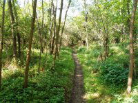 Eladó mezogazdasagi ingatlan