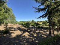 Eladó családi ház, Hevesen 44.9 M Ft, 2 szobás