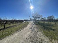 Eladó mezogazdasagi ingatlan