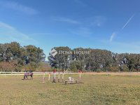 Eladó telek, Dorogon 224 M Ft / költözzbe.hu