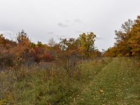 Eladó telek, Pécselyen 19.99 M Ft / költözzbe.hu