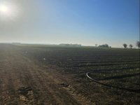 Eladó mezogazdasagi ingatlan, Telekgerendáson 17.5 M Ft