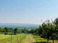 Eladó telek, Alsópáhokon 10.5 M Ft / költözzbe.hu