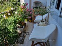 Eladó téglalakás, XII. kerületben 131.9 M Ft, 2+1 szobás