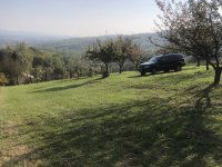 Eladó mezogazdasagi ingatlan, Zalaszentgróton 12 M Ft