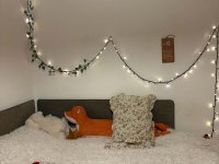 Kiadó téglalakás, albérlet, Pécsett, János utcában, 3 szobás
