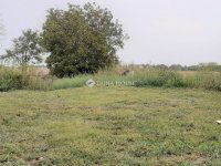 Eladó családi ház, Ádándon 53.5 M Ft, 6 szobás