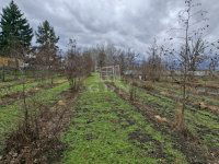 Eladó mezogazdasagi ingatlan, Nagyigmándon 23 M Ft