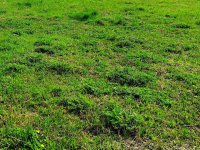 Eladó telek, Balatonszárszón 39.655 M Ft / költözzbe.hu