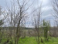 Eladó telek, Bagon, Szőlő utcában 5 M Ft / költözzbe.hu