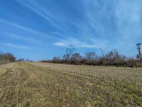 Eladó mezogazdasagi ingatlan, Magyaralmáson 10.3 M Ft