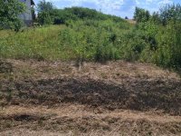 Eladó telek, Szarvasgedén 5.5 M Ft / költözzbe.hu