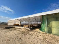 Eladó mezogazdasagi ingatlan, Bugacon 170 M Ft