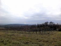 Eladó mezogazdasagi ingatlan, Sukorón 31.9 M Ft