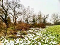 Eladó telek, Budakalászon 120 M Ft / költözzbe.hu