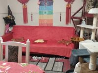 Eladó családi ház, Rákóczifalván 20 M Ft, 2 szobás