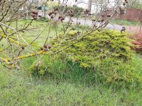 Eladó telek, Szegeden 24.5 M Ft / költözzbe.hu