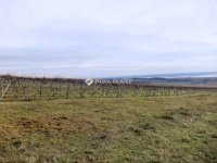 Eladó mezogazdasagi ingatlan, Sukorón 31.9 M Ft