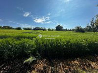 Eladó családi ház, Zicsen 22 M Ft, 4 szobás