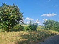 Eladó mezogazdasagi ingatlan, Vecsésen 117 M Ft