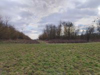 Eladó telek, Kisasszondon 3.5 M Ft / költözzbe.hu