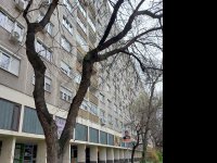 Eladó panellakás, III. kerületben, Harrer Pál utcában 67 M Ft