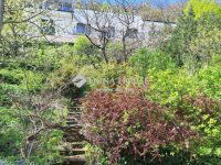 Eladó családi ház, II. kerületben 180 M Ft, 3 szobás