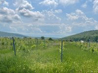 Eladó telek, Balatoncsicsón 43 M Ft / költözzbe.hu