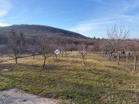 Eladó telek, Tatán 26 M Ft / költözzbe.hu