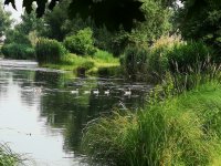 Eladó telek, Dunaszigeten 79 M Ft / költözzbe.hu